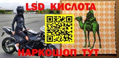 твердый Кингисепп