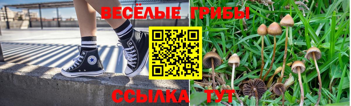 Галлюциногенные грибы мицелий  Вход с VPN  даркнет сайт  Ярославль 
